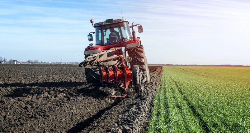 Tractor agricultural machine cultivating field.